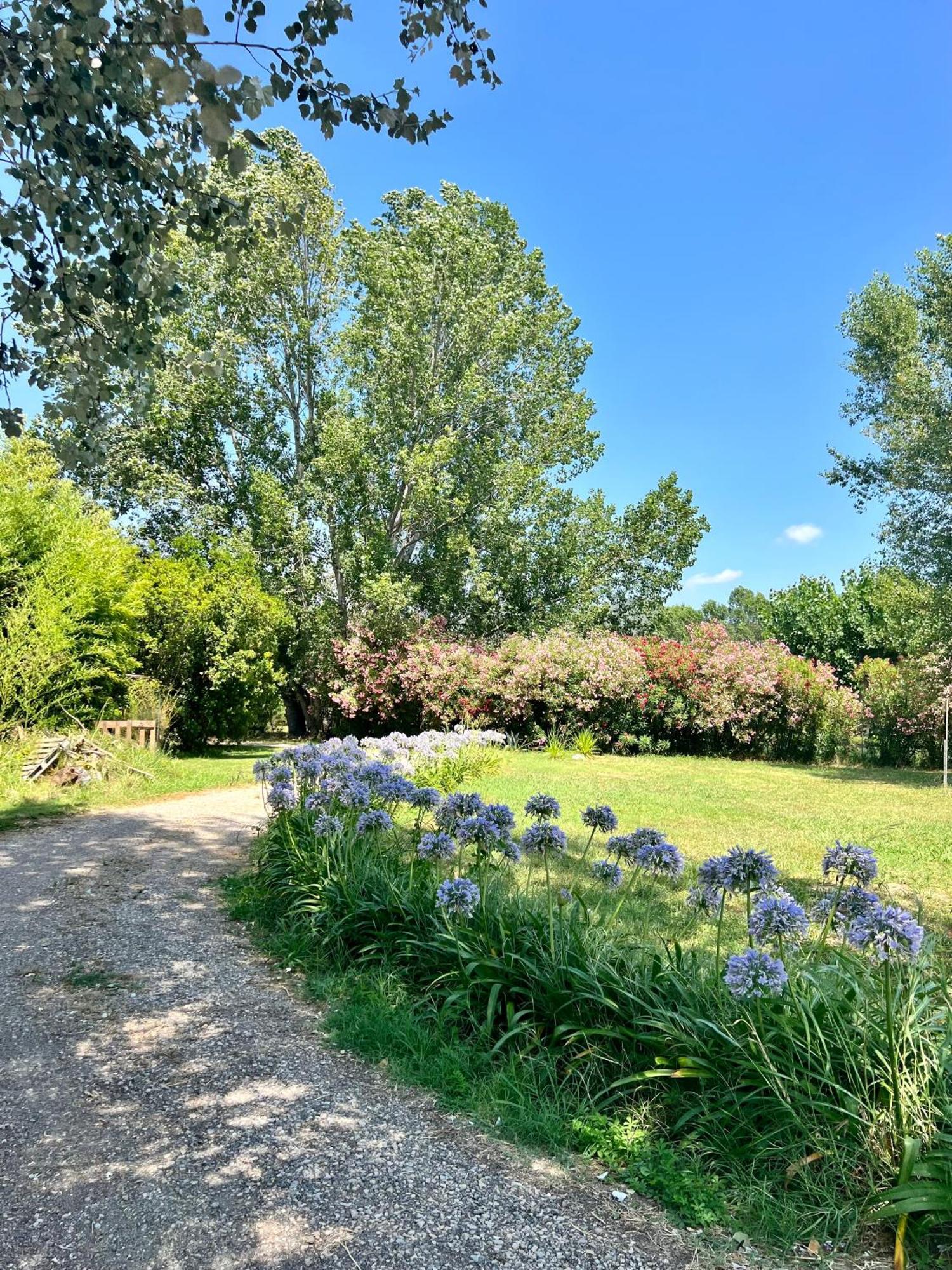 Domaine Du Lac De La Vallee La Roquette-sur-Siagne Dış mekan fotoğraf